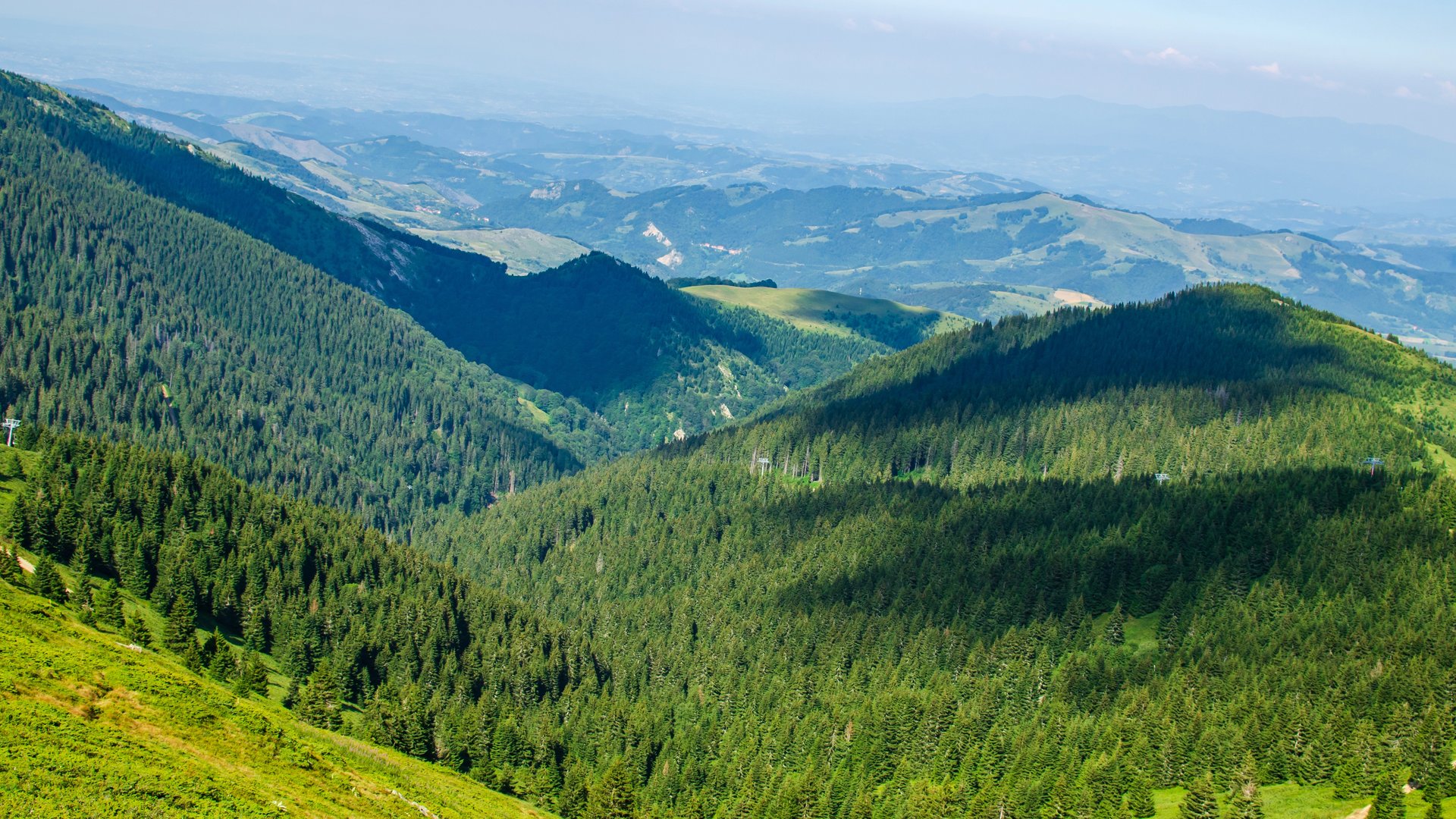 Nepregledne šume kopaoničke doline