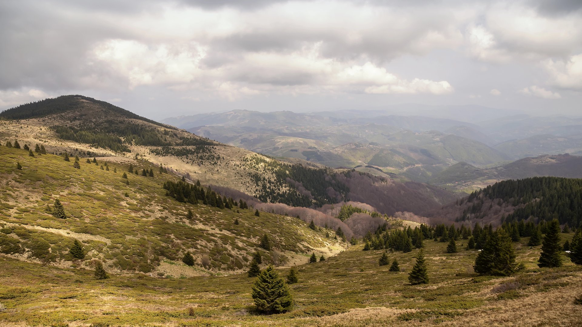 Letnji planinski proplanci i padine
