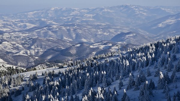 Ski lift kroz zavejanu četinarsku šumu