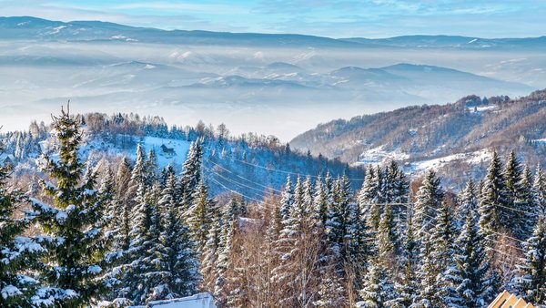 Snežne kopaoničke šume u smiraj dana